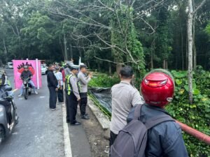 Diduga Microsleep, Truk Canter Terjun ke Sungai Sedalam 10 Meter di Glenmore